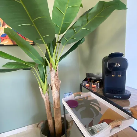 Penthouse With Spacious Surrounding Terrace Apartamento *